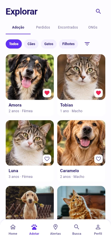 Animais para adoção no Laço