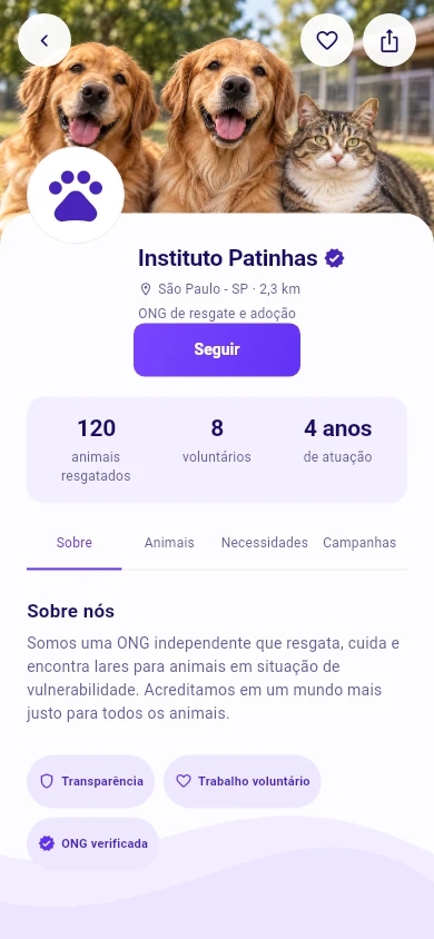 Perfil institucional ilustrativo, com dados fictícios