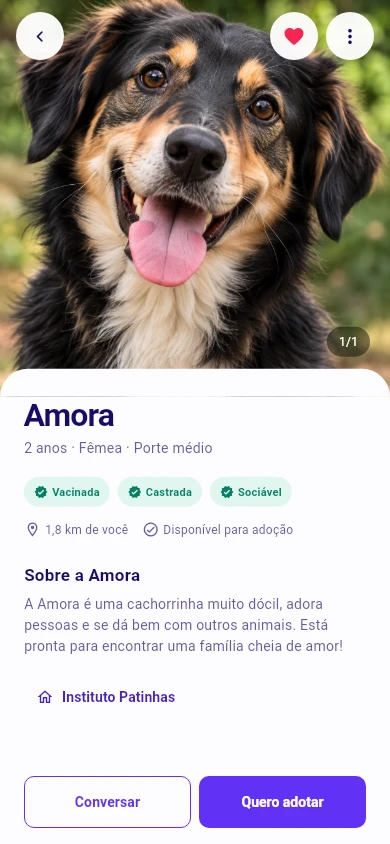 Perfil de adoção com dados fictícios